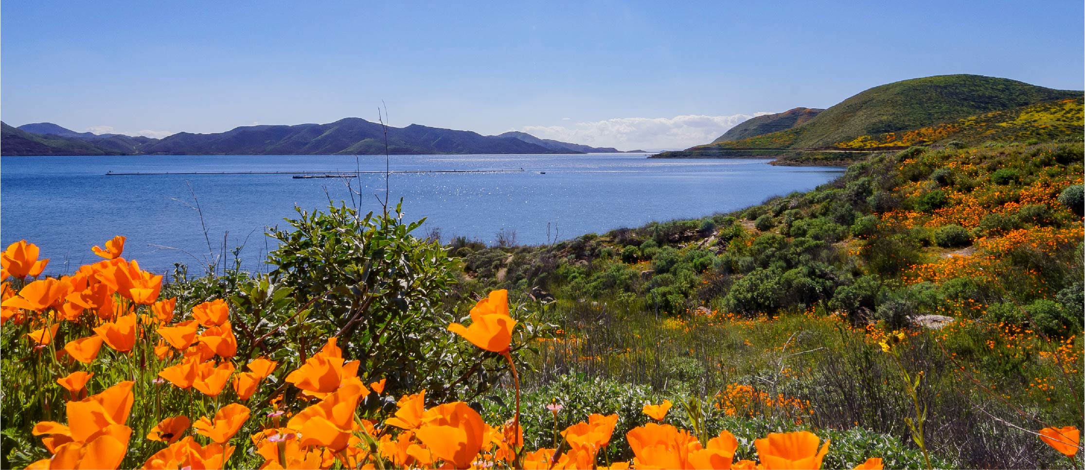 image of land in California